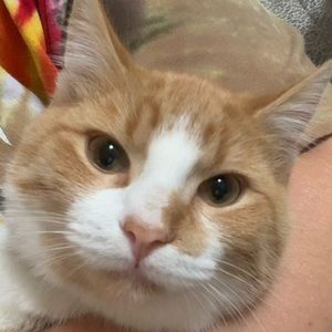 Meet your Posher, Gemma